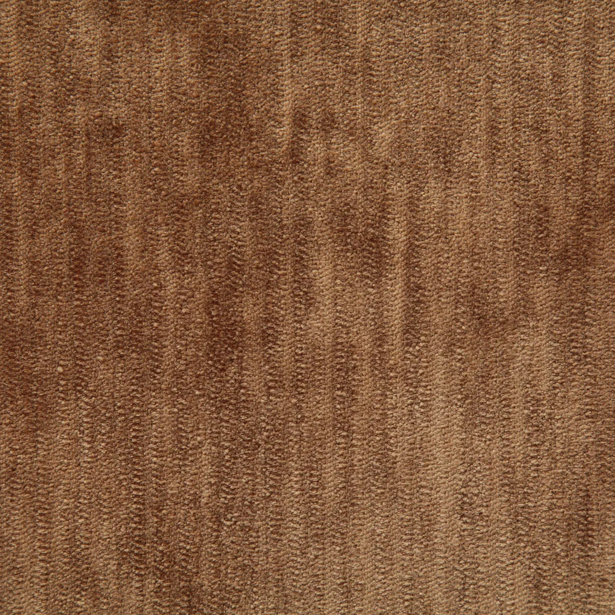Pindler & Pindler Denton Apricot Fabric