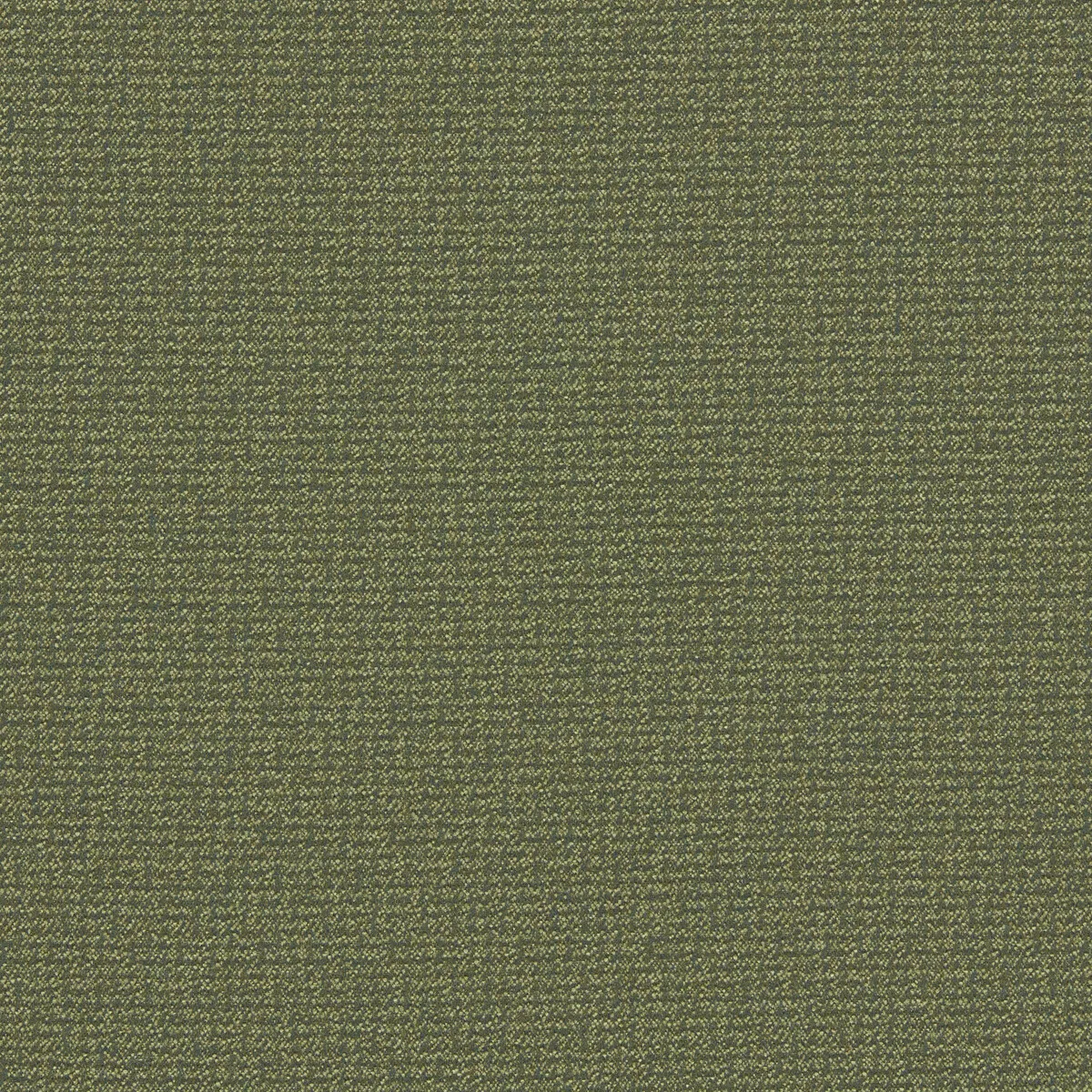 Clarke & Clarke Malone Moss Fabric