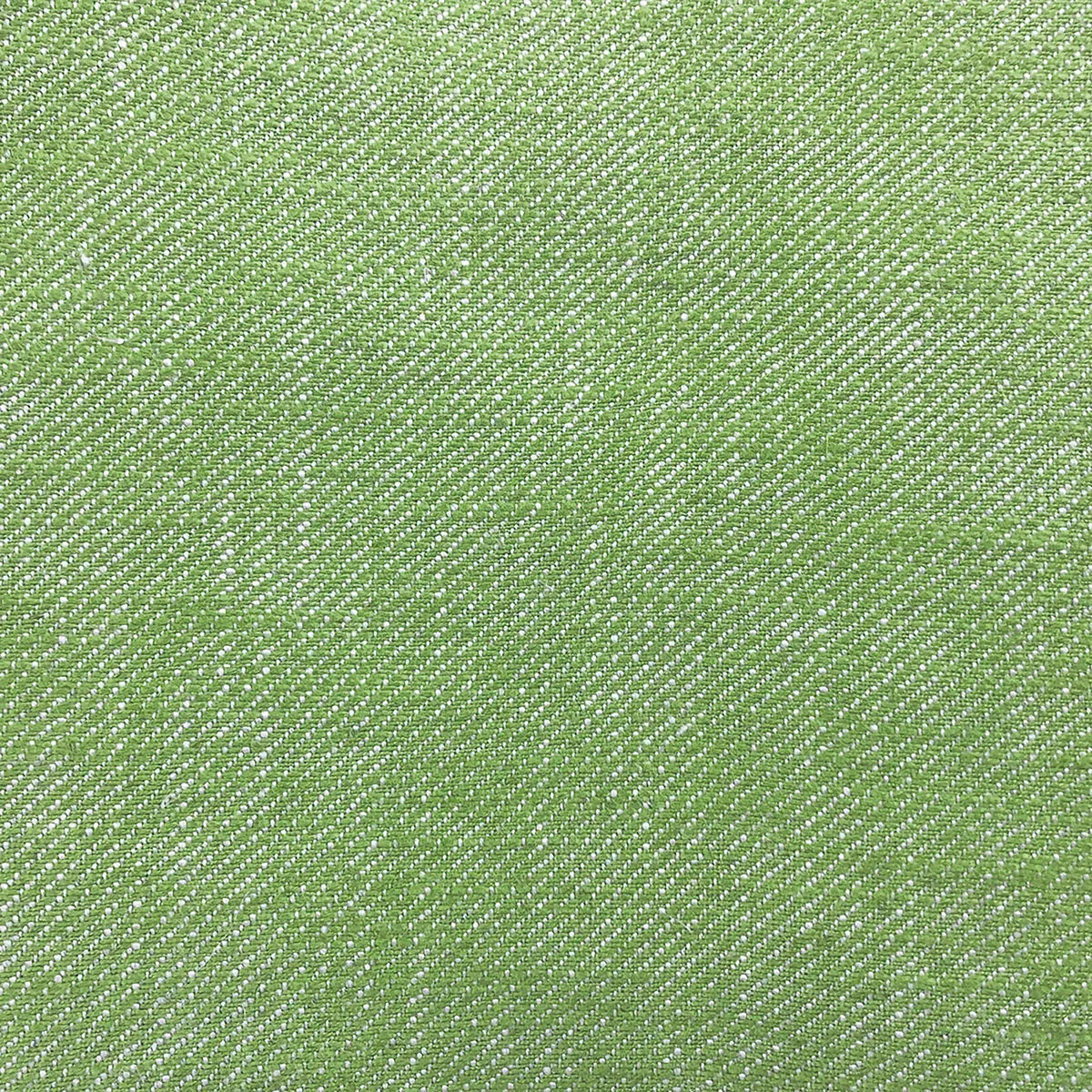 GastÃ³n y Daniela Hisa Verde Claro Fabric