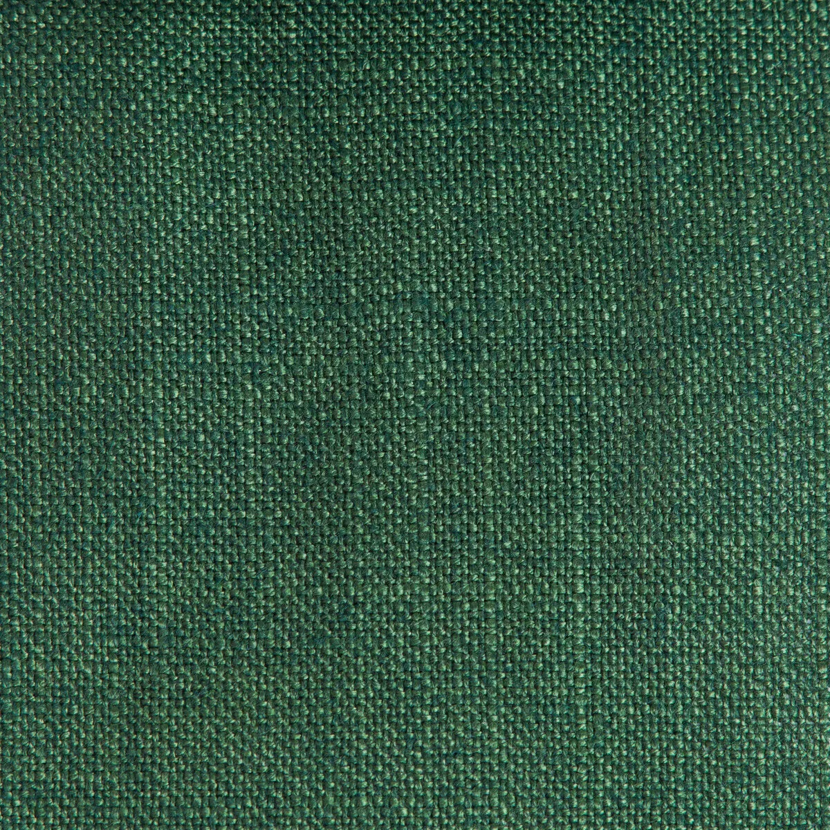 GastÃ³n y Daniela Peru Verde Fabric