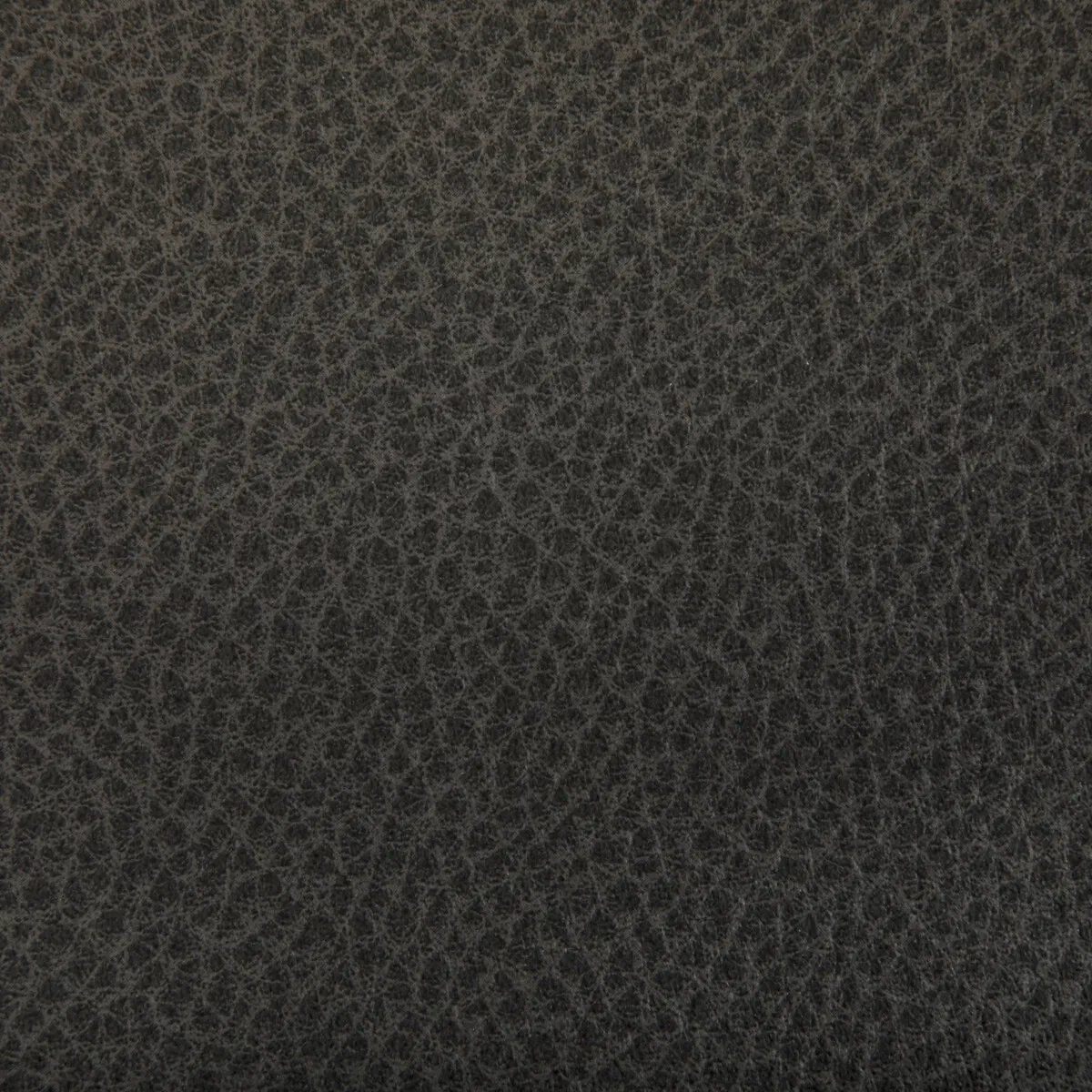 Kravet Woolf Java Fabric