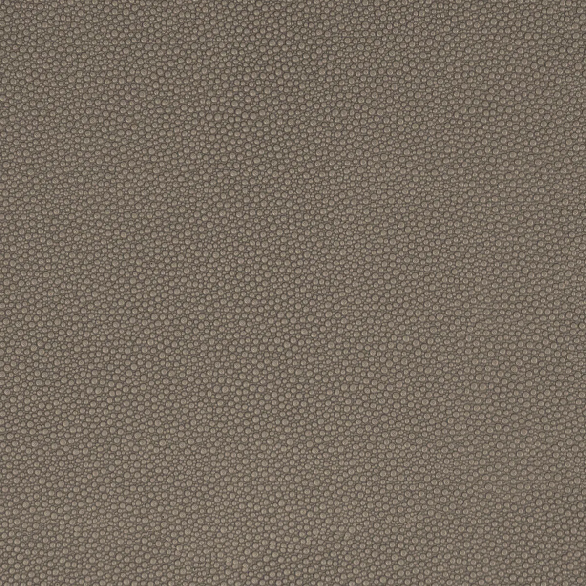 Mitchell Ez-Kleenâ¢ Bowa Fossil Vinyl Fabric
