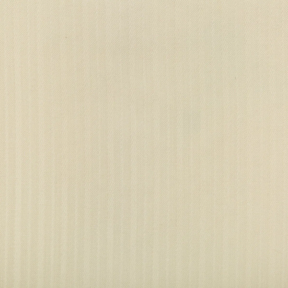 Lee Jofa Clyne Sheer Ivory Fabric