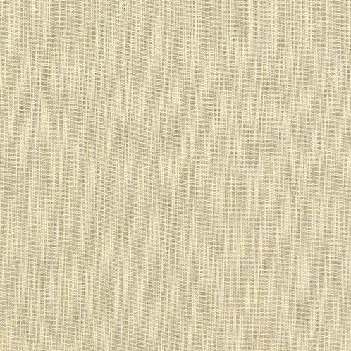 Clarke & Clarke Remo Raffia Fabric