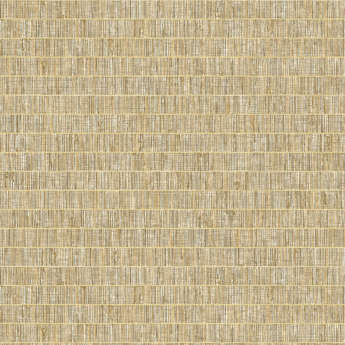 Seabrook Designs Blue Grass Band Ginseng Wallpaper