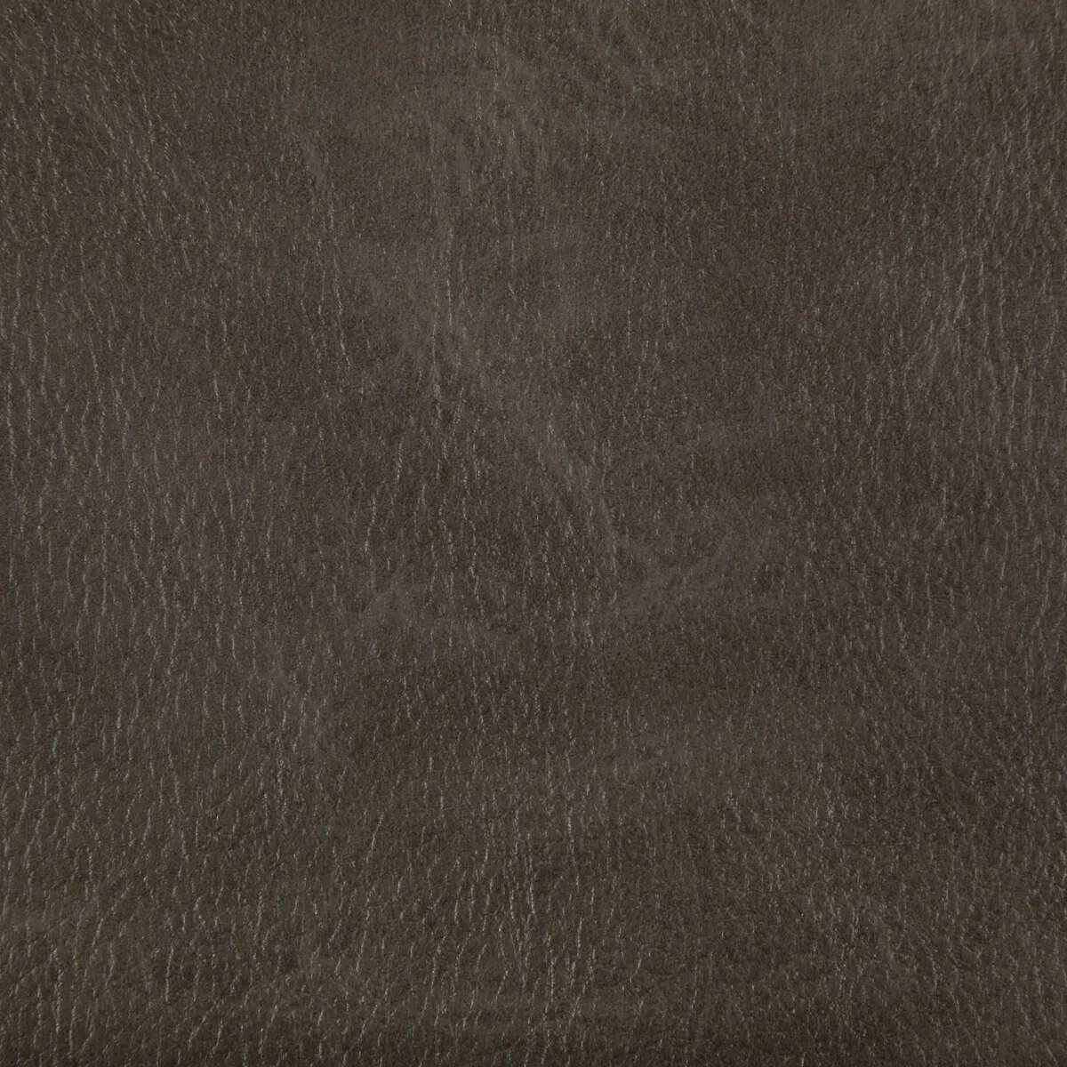 Kravet Toni Rustler Fabric 1 3030-kravet-toni-rustler-fabric-1.webp
