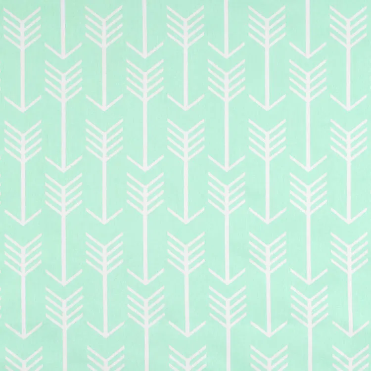 Premier Prints Arrow Mint Twill Fabric