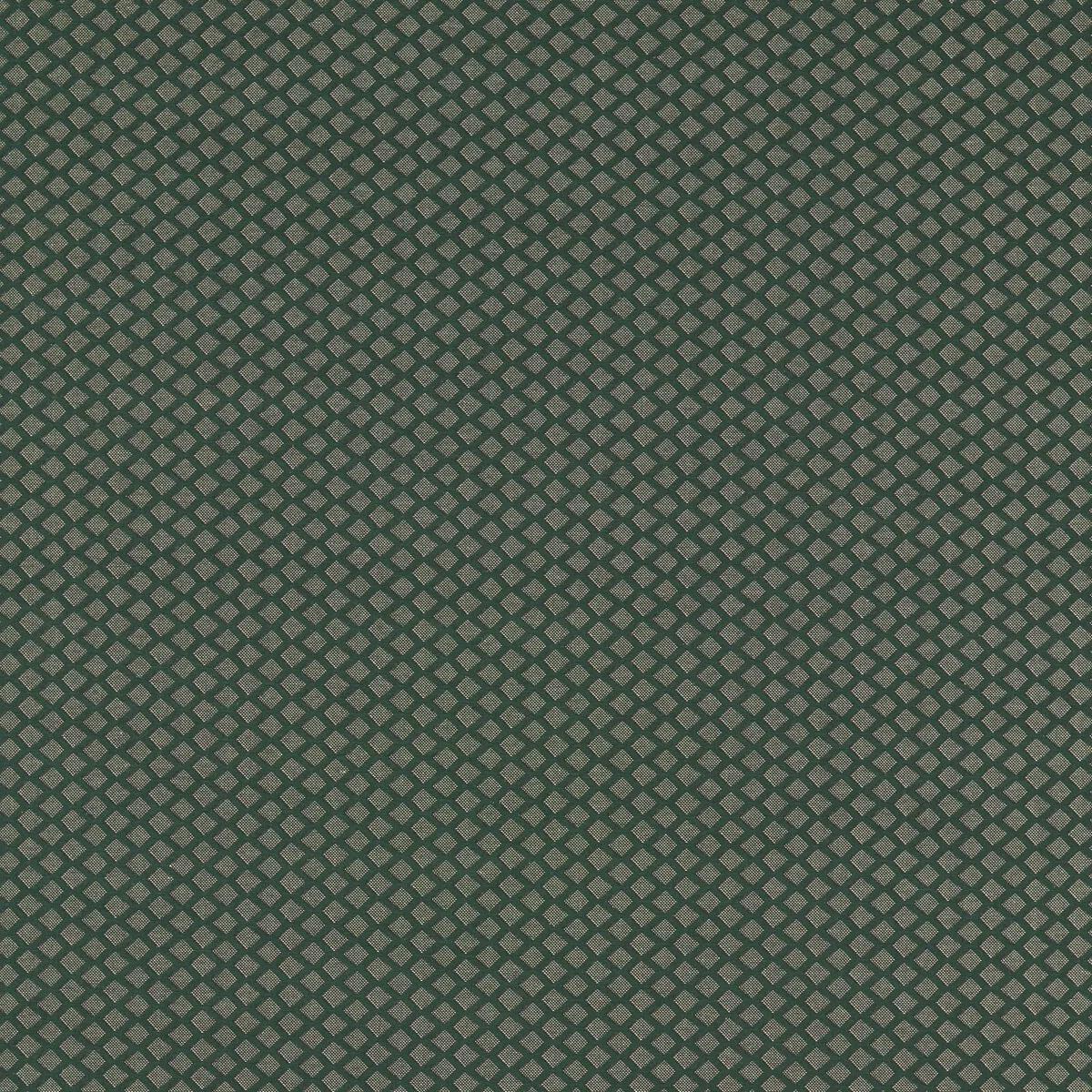 Clarke & Clarke Equator Forest Fabric