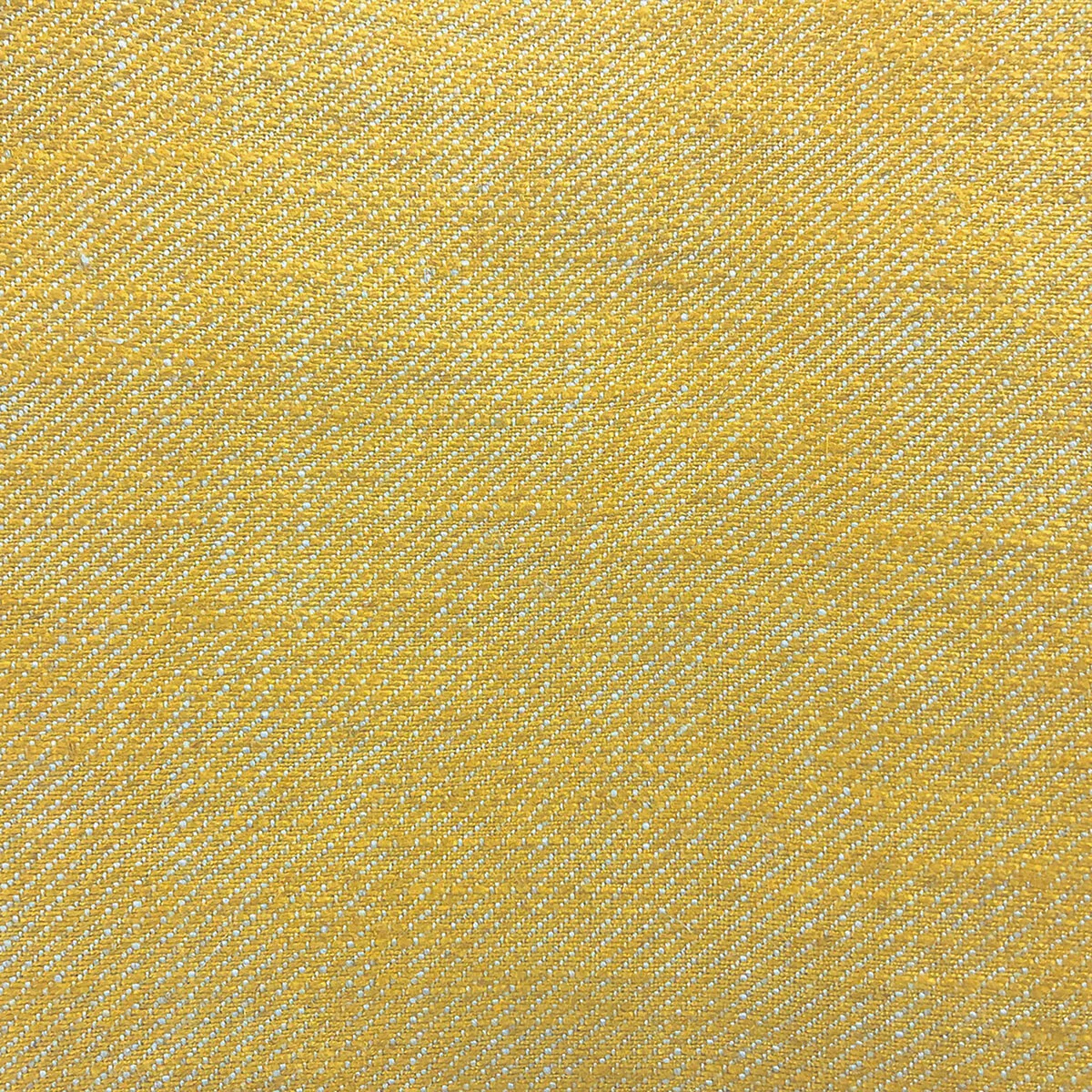 3187-gast-n-y-daniela-hisa-amarillo-fabric-1.webp