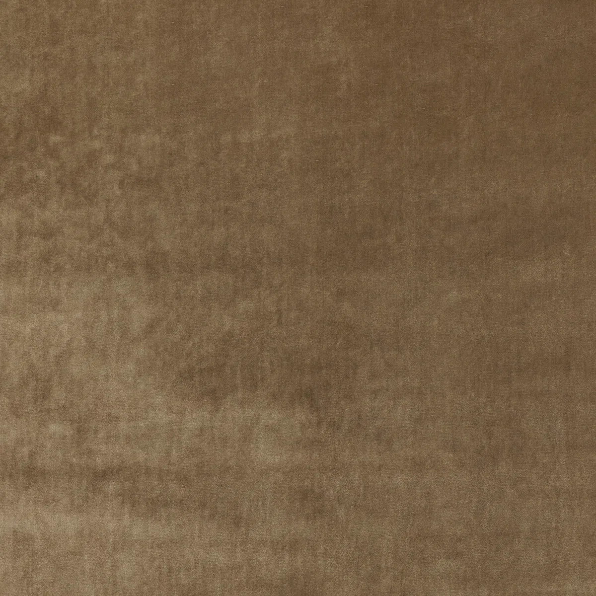 Kravet New Elegance Camel Fabric