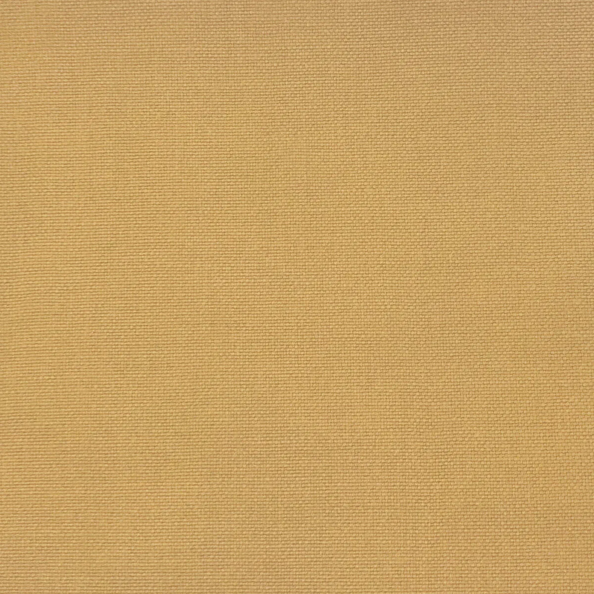 Gastón y Daniela Palma Ocre Fabric 1 3322-gast-n-y-daniela-palma-ocre-fabric-1.webp