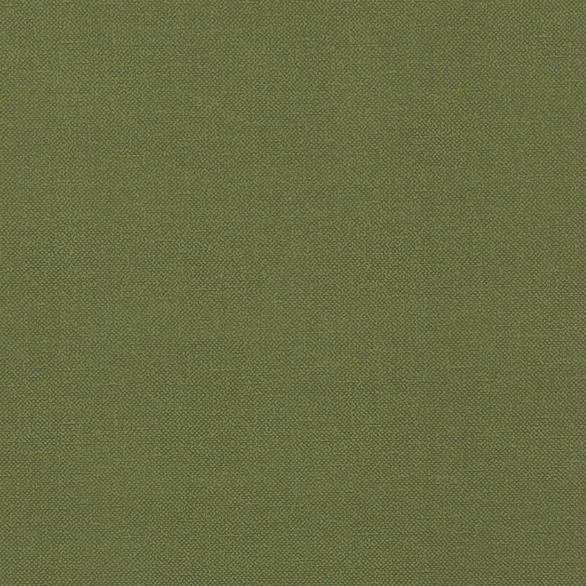 3434-clarke-clarke-renzo-forest-fabric-1.webp