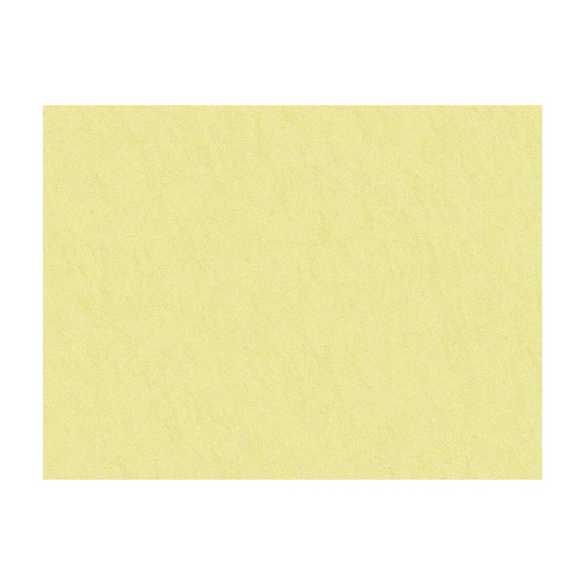 Brunschwig & Fils Shots Chamois Fabric