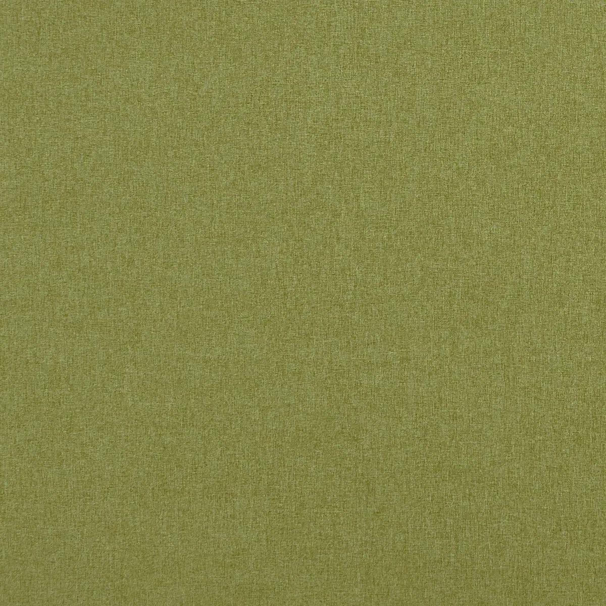 Clarke & Clarke Highlander Leaf Fabric