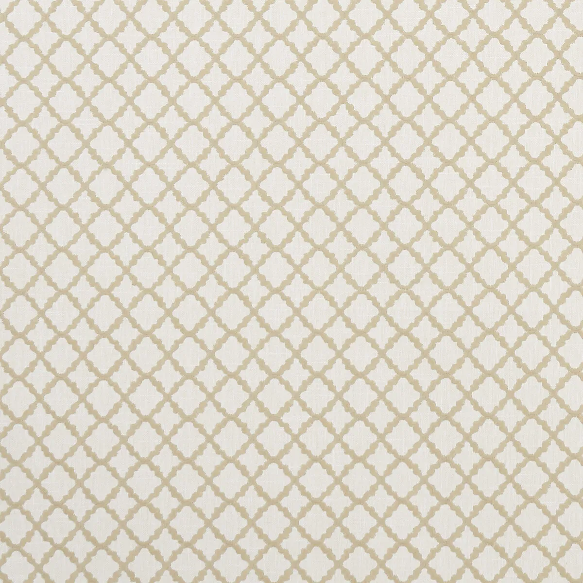 Clarke & Clarke Ariyana Natural Fabric