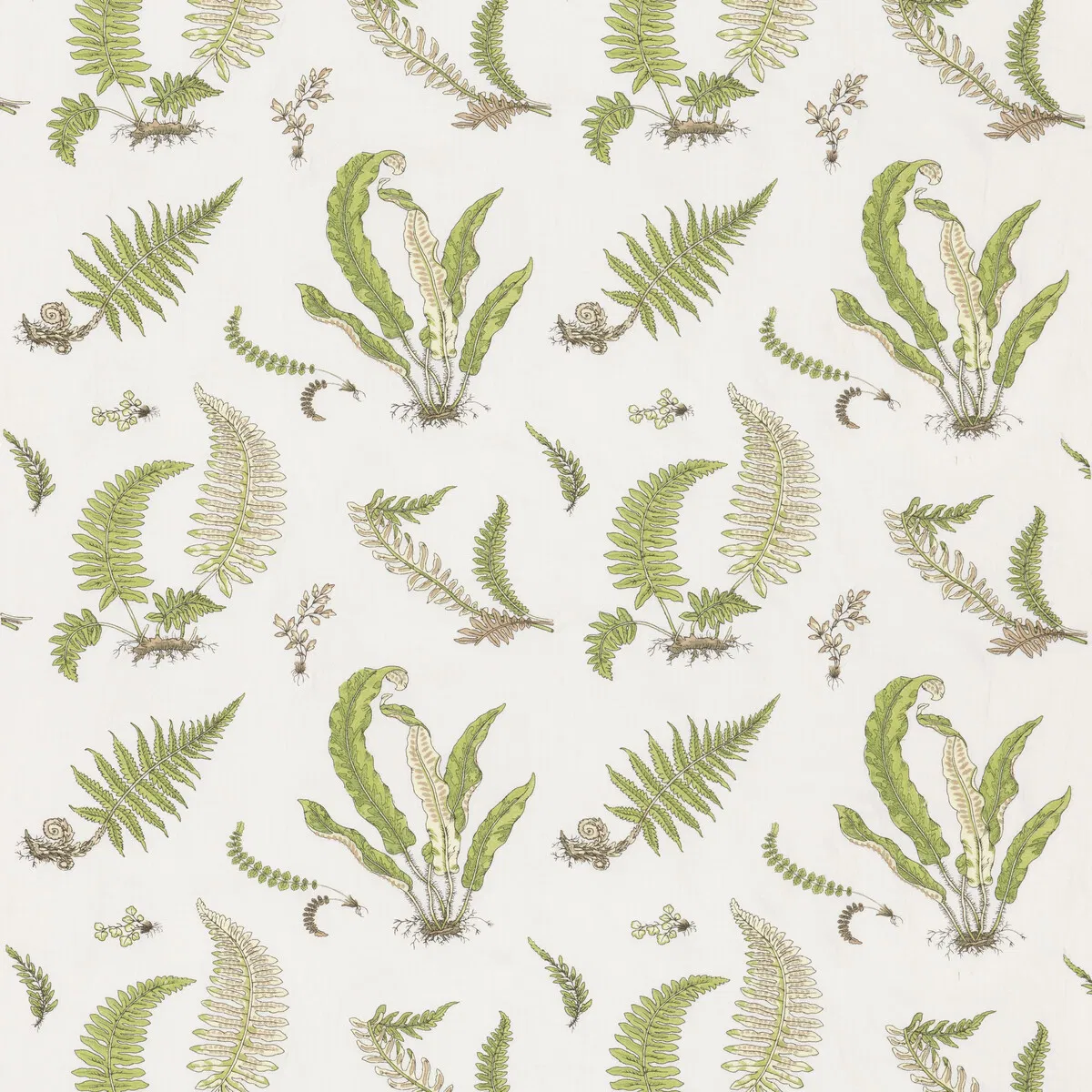 GP & J Baker Ferns Embroidery Green Fabric