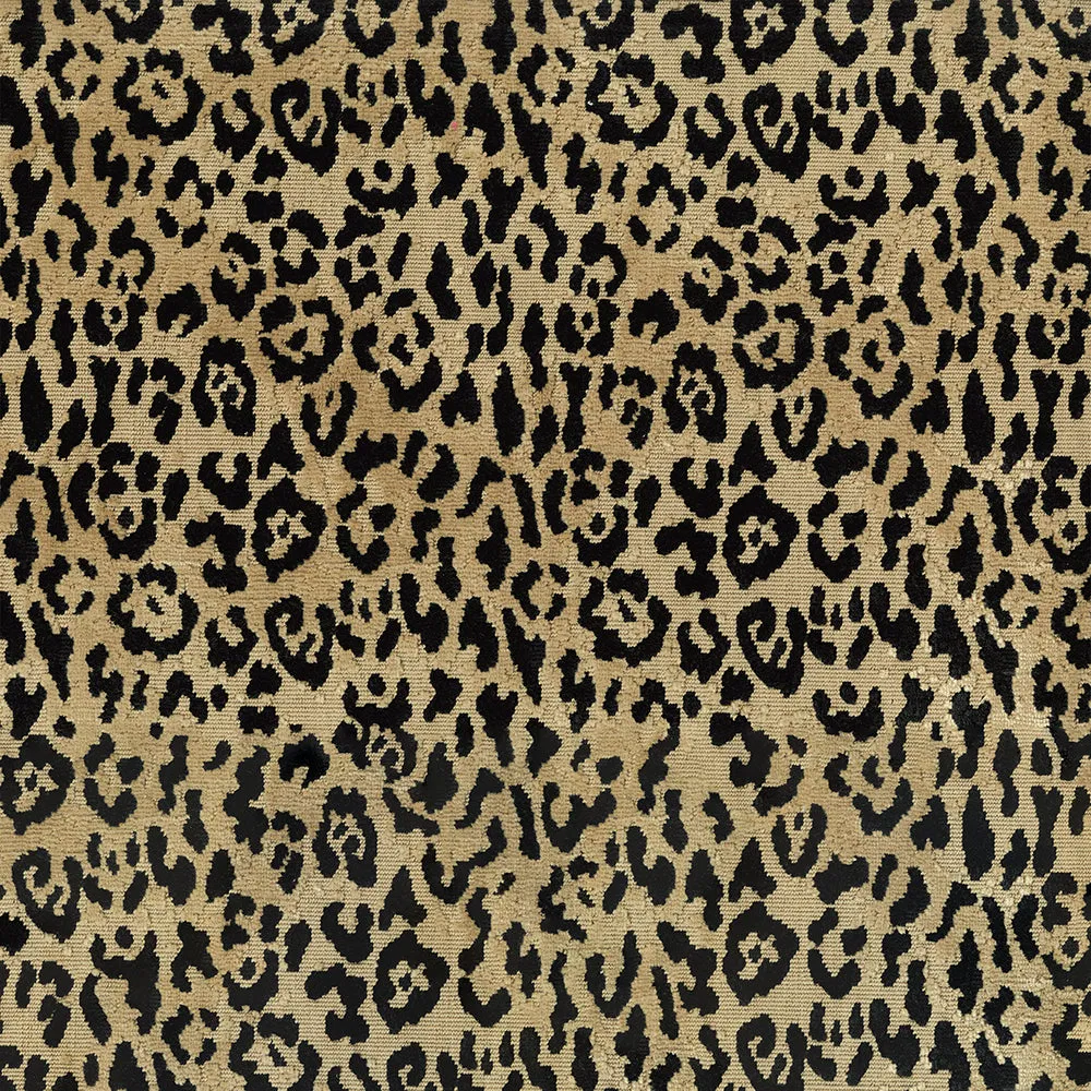 ABBEYSHEA Lipped 54 Coin Fabric