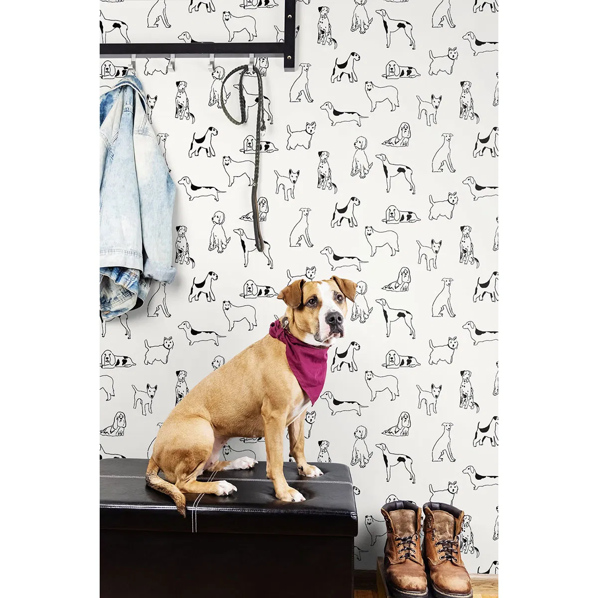 Stacy Garcia Home Peel & Stick Best in Show Onyx Wallpaper