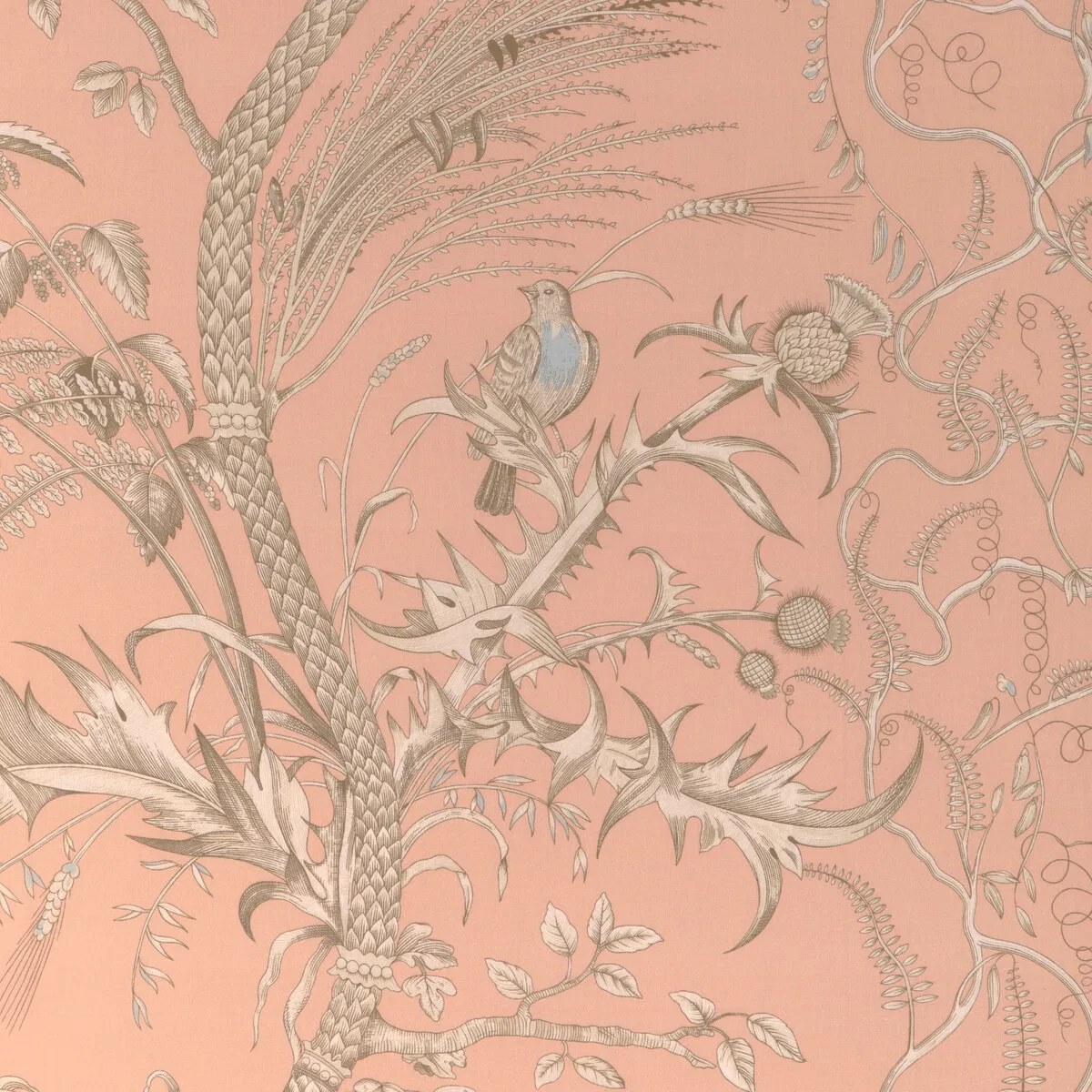 Brunschwig & Fils Bird And Thistle II Peach Fabric