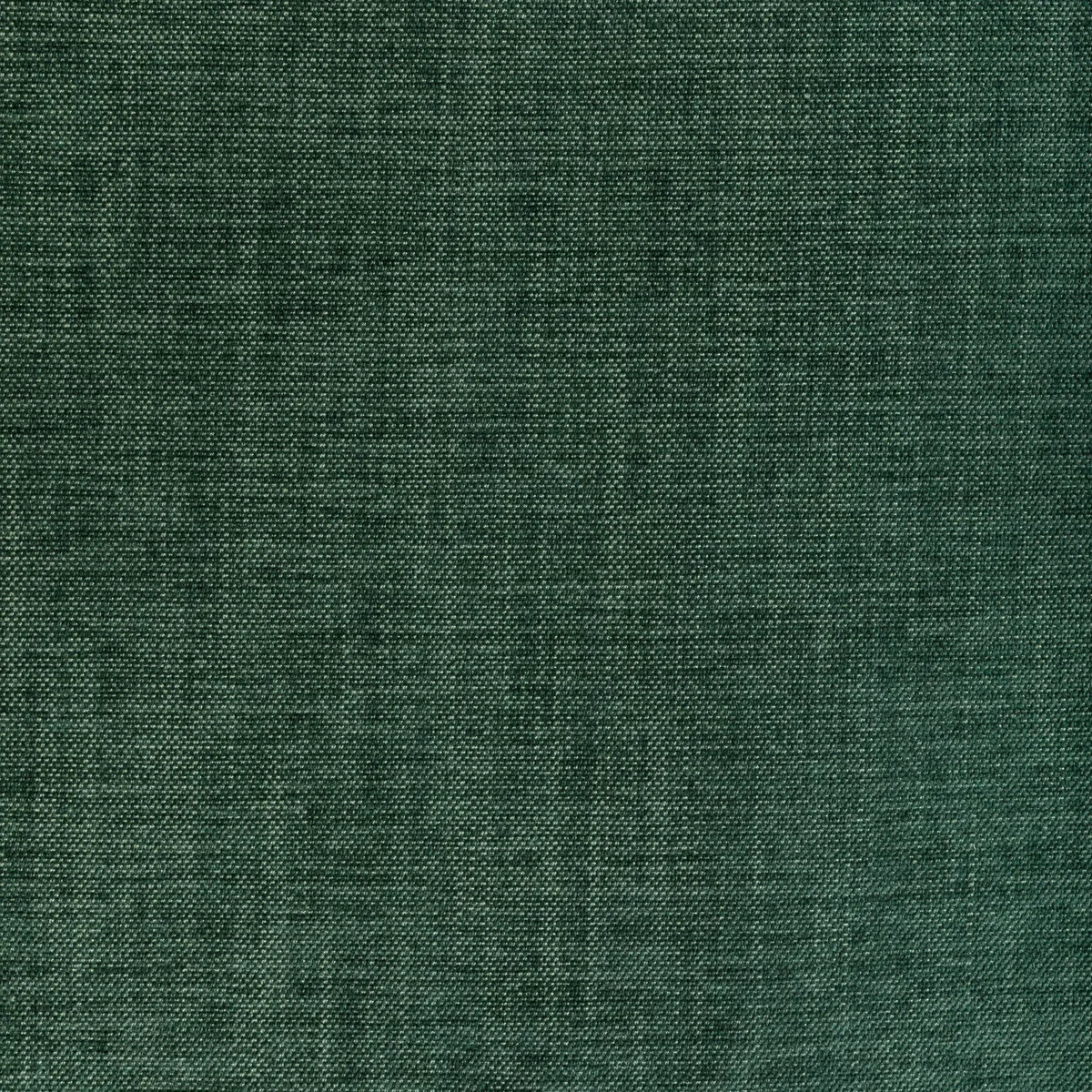 Kravet Smart 36650 3 Fabric