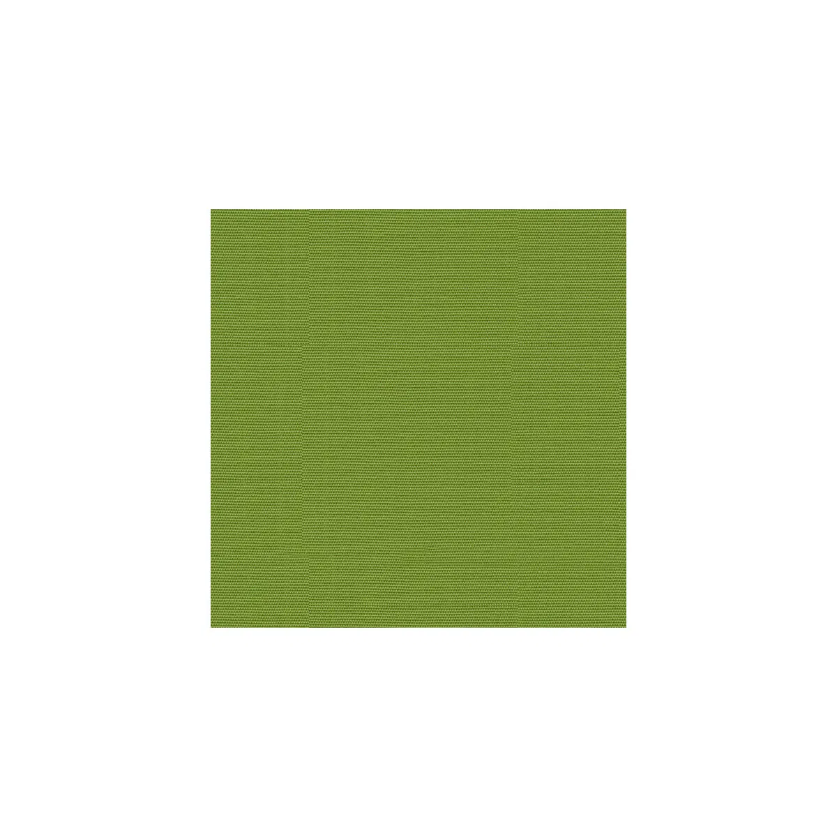 Lee Jofa Modern Canopy Solid Lime Fabric