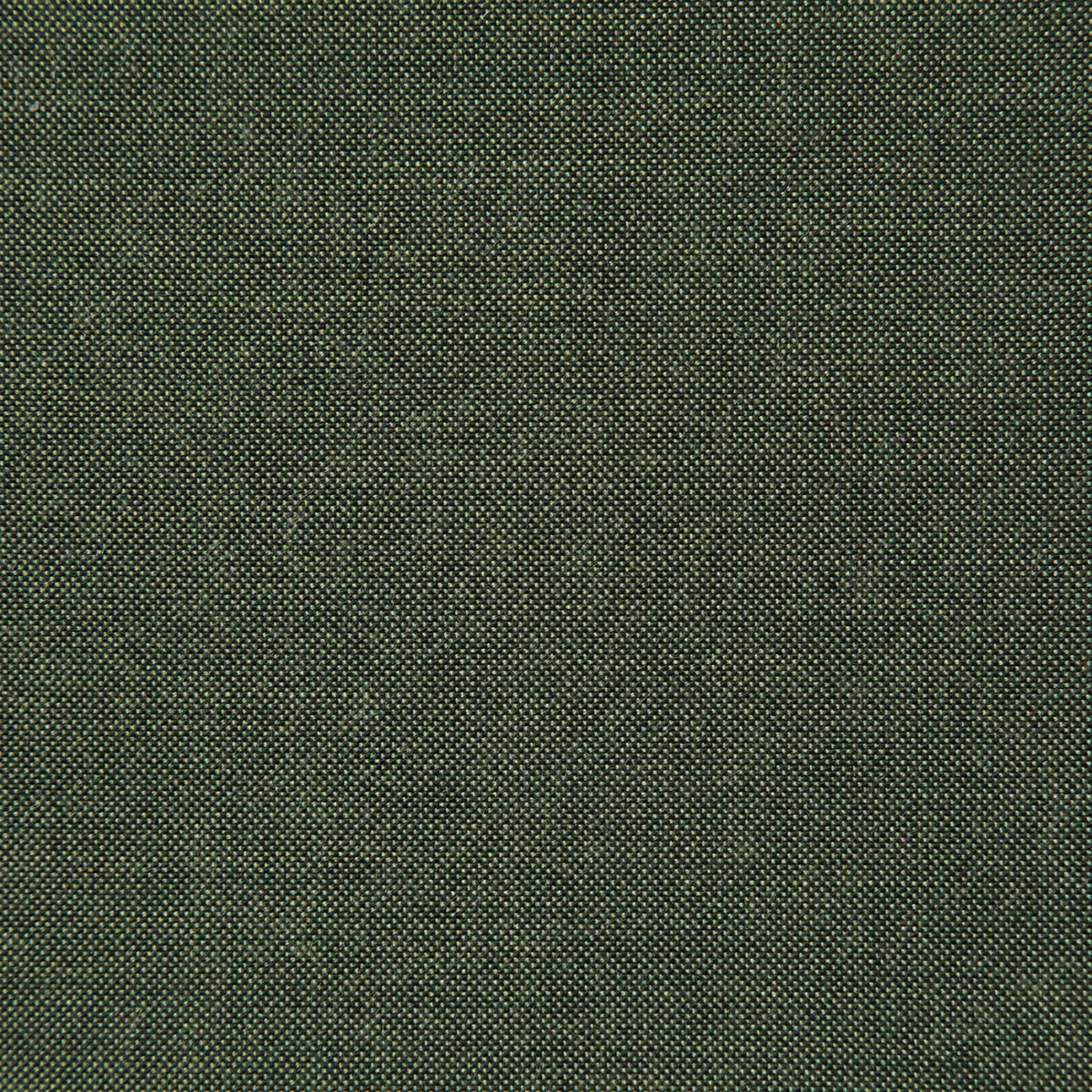 3912-pindler-pindler-cliffridge-lichen-fabric-1.webp
