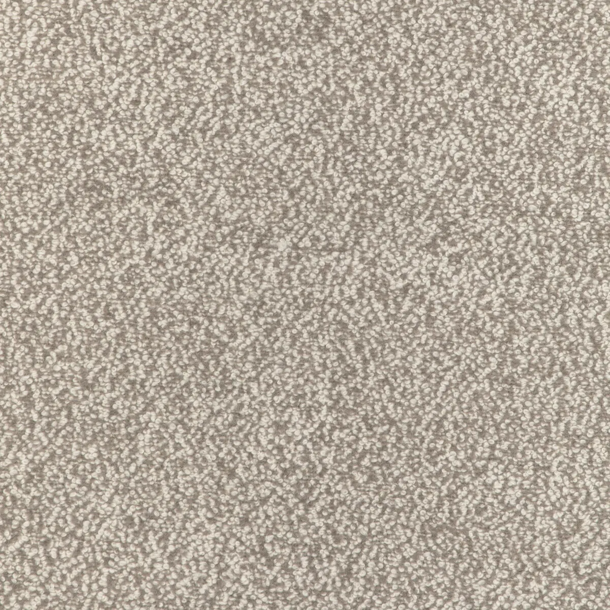 Kravet Alpaca Boucle Fawn Fabric