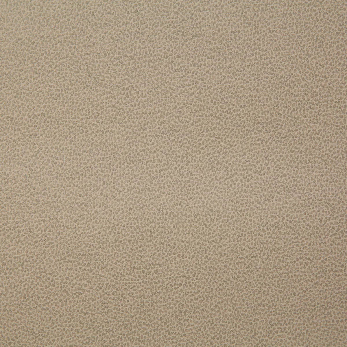 Pindler & Pindler Lasso Fawn Fabric