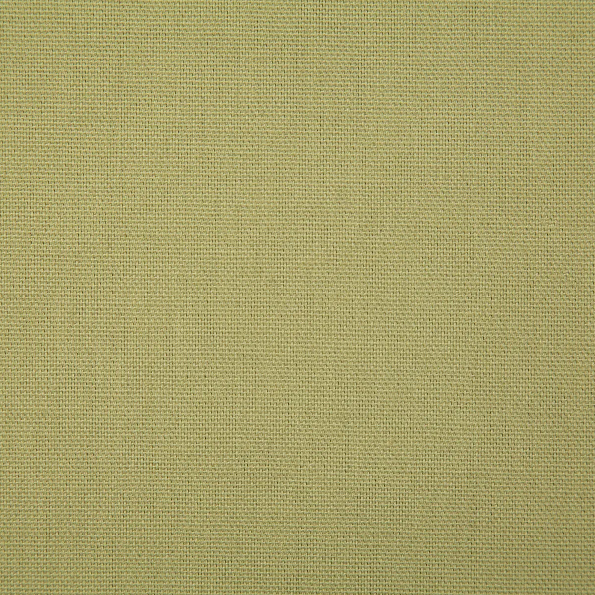Pindler & Pindler Callahan Olive Fabric
