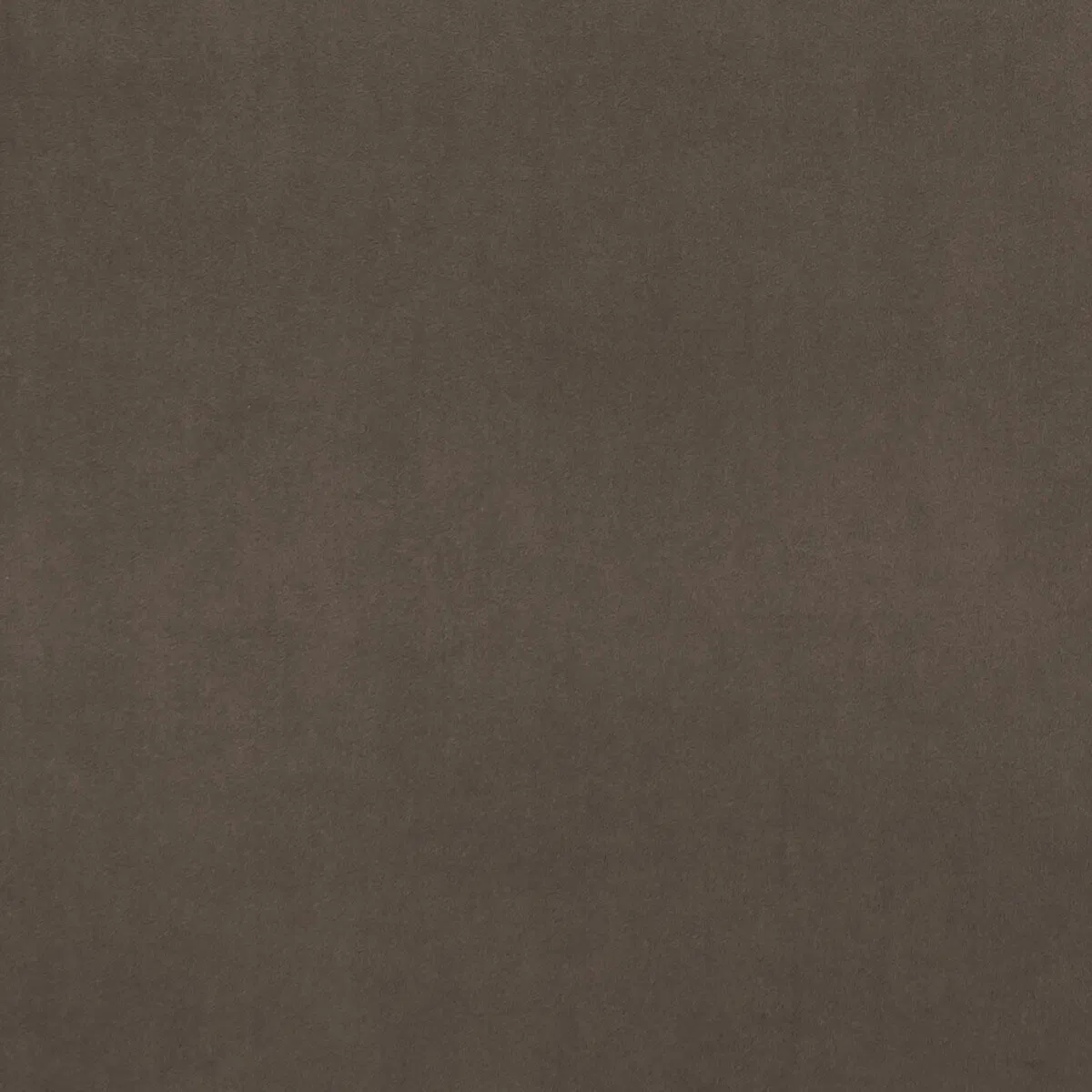 3926-clarke-clarke-alvar-beaver-fabric-1.webp
