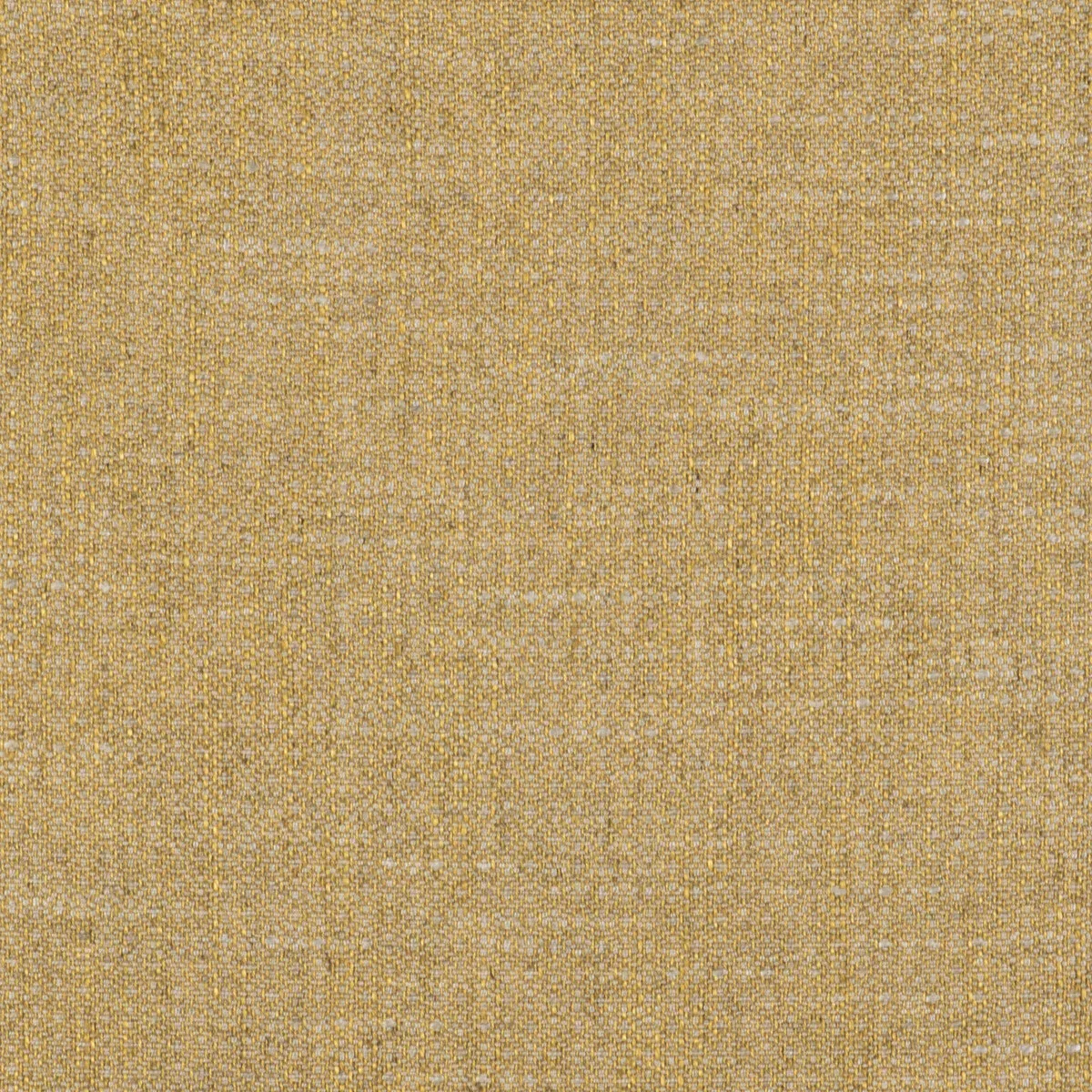 GastÃ³n y Daniela Semilla Oro Fabric