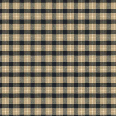 Brunschwig & Fils Brunschwig Pld Coal/Tan Fabric