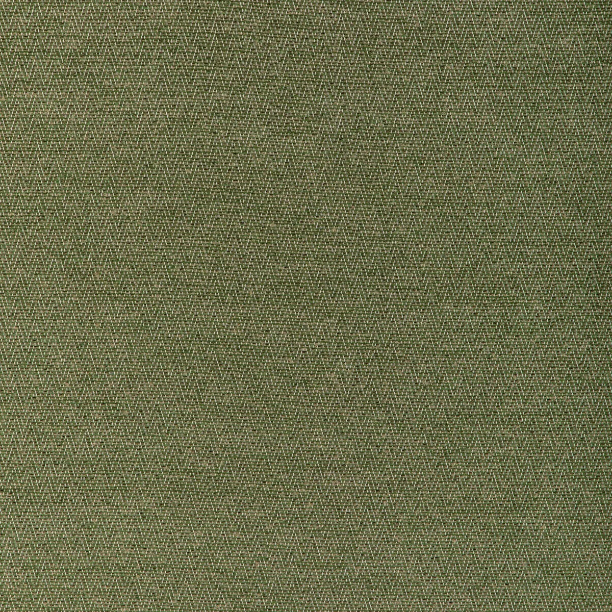 Brunschwig & Fils Beauvoir Texture Leaf Fabric 1 4149-brunschwig-fils-beauvoir-texture-leaf-fabric-1.webp