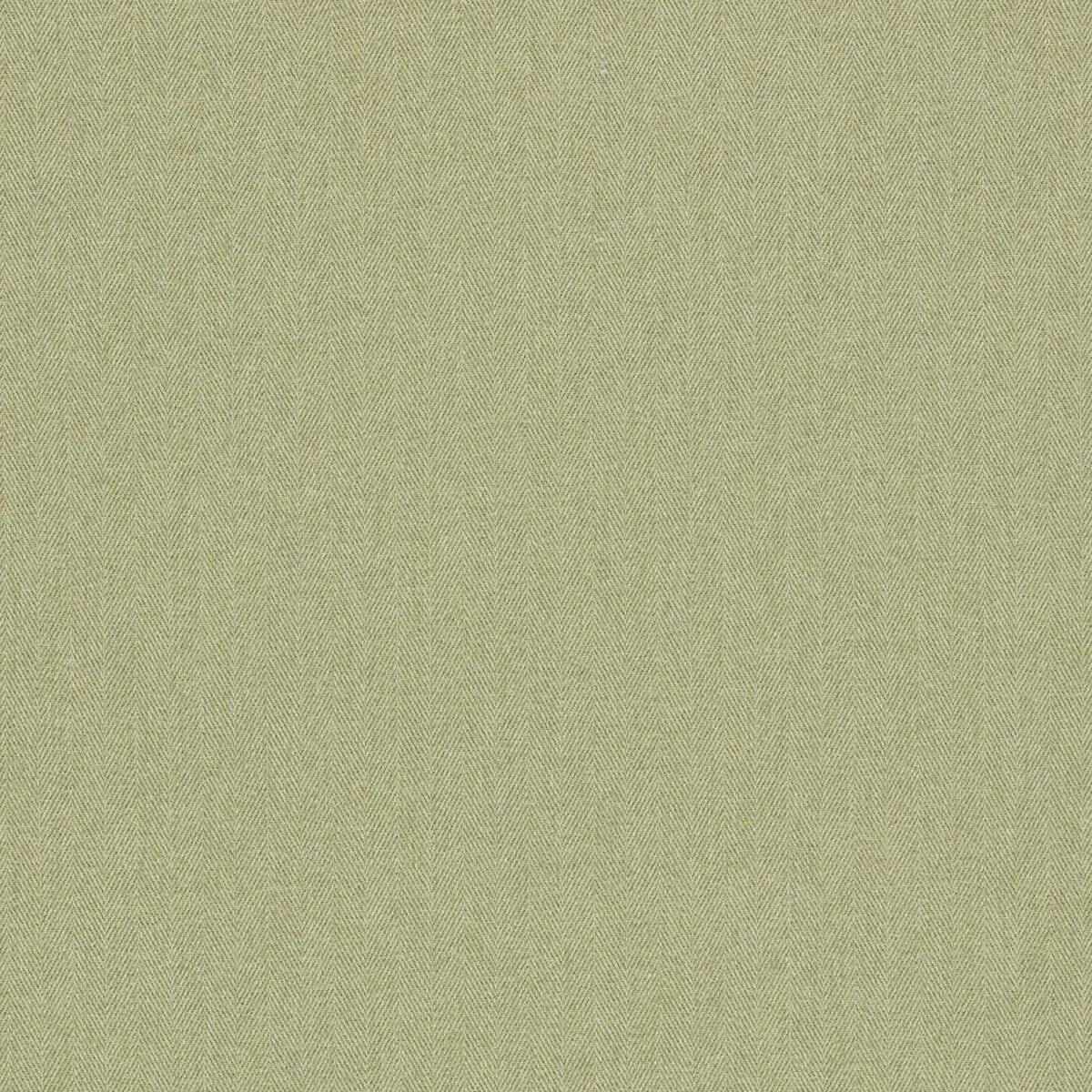 Clarke & Clarke Rowland Olive Fabric
