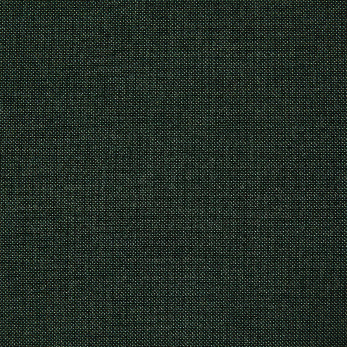 Pindler & Pindler Cliffridge Forest Fabric