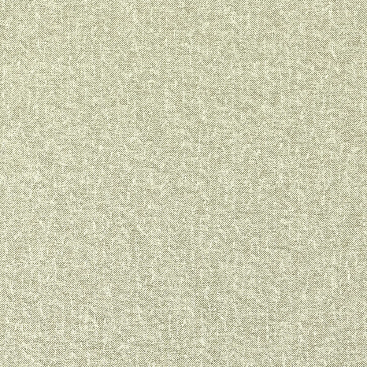Clarke & Clarke Tierra Linen Fabric