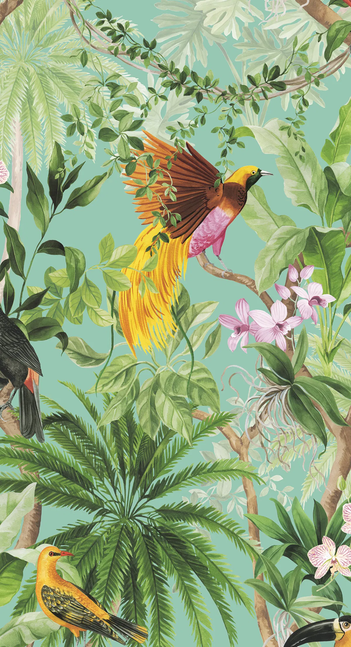 4454-harry-grace-peel-stick-tropical-bird-aqua-wallpaper-2.webp