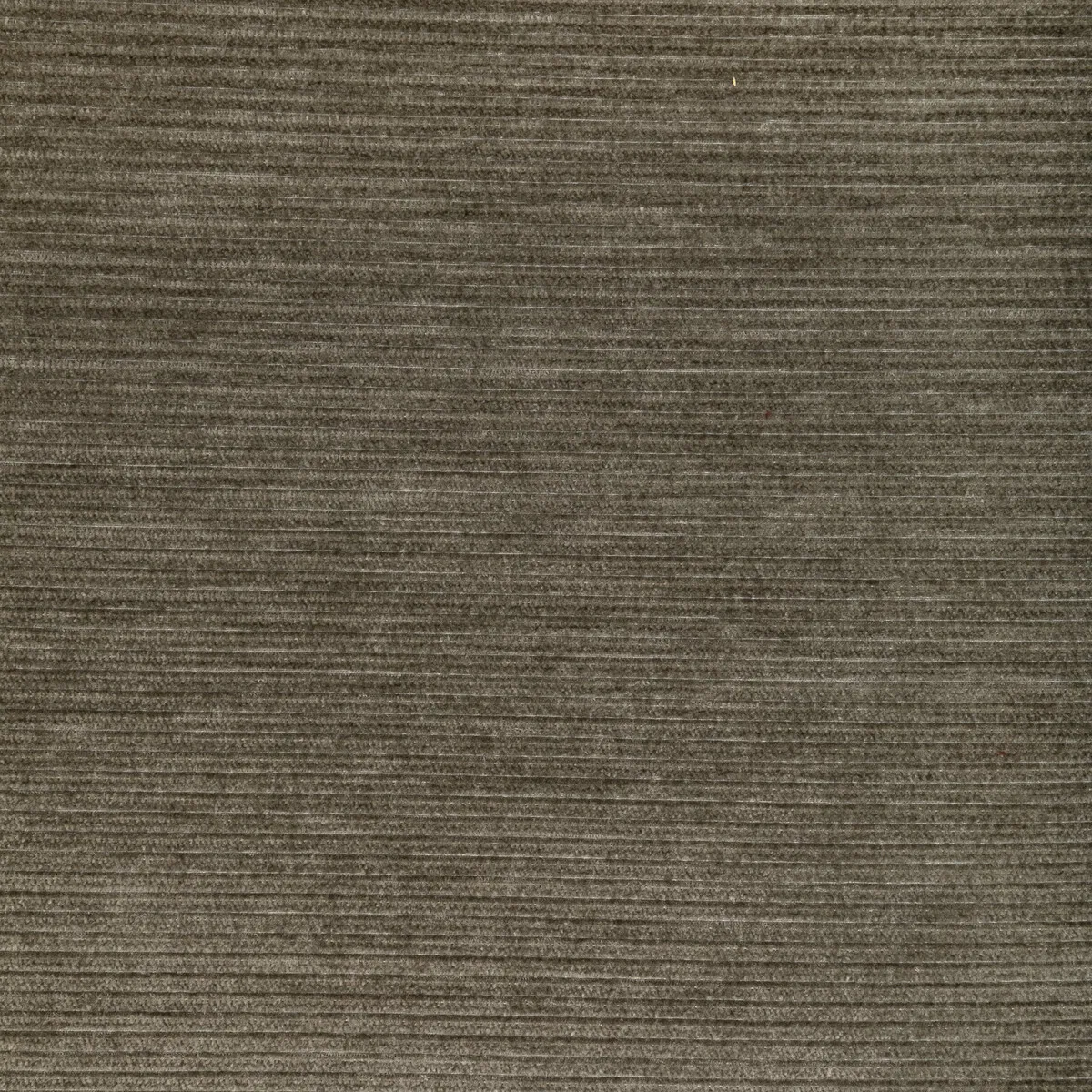 Kravet Smart 36651 106 Fabric