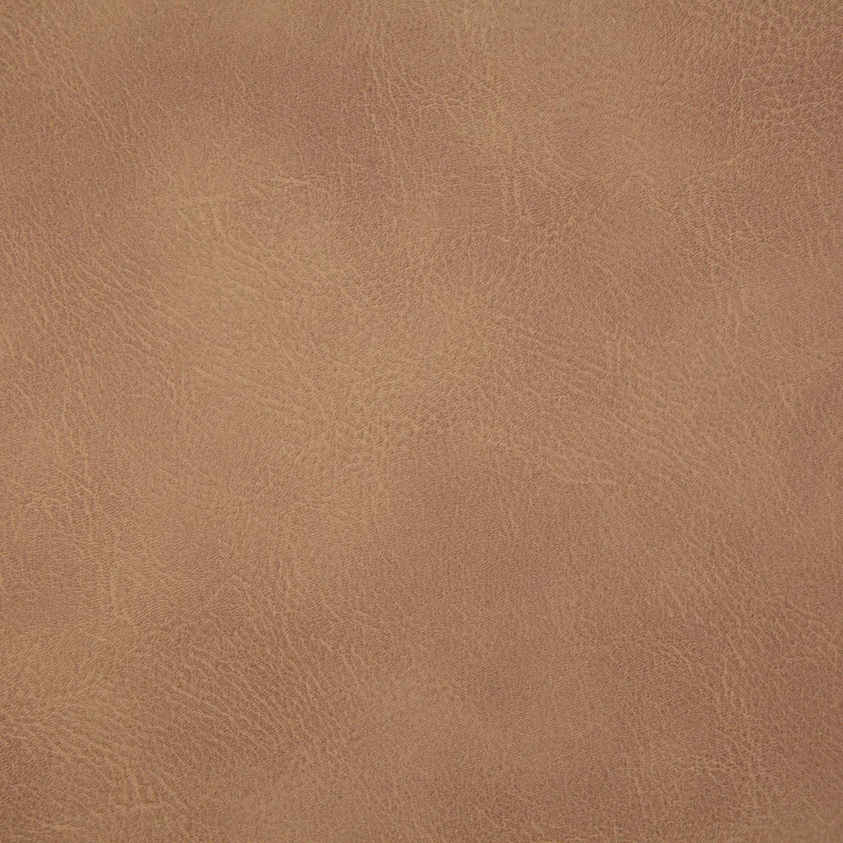 4509-pindler-pindler-gitty-up-honey-fabric-1.webp