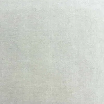 Kravet So Subtle Pearl Fabric