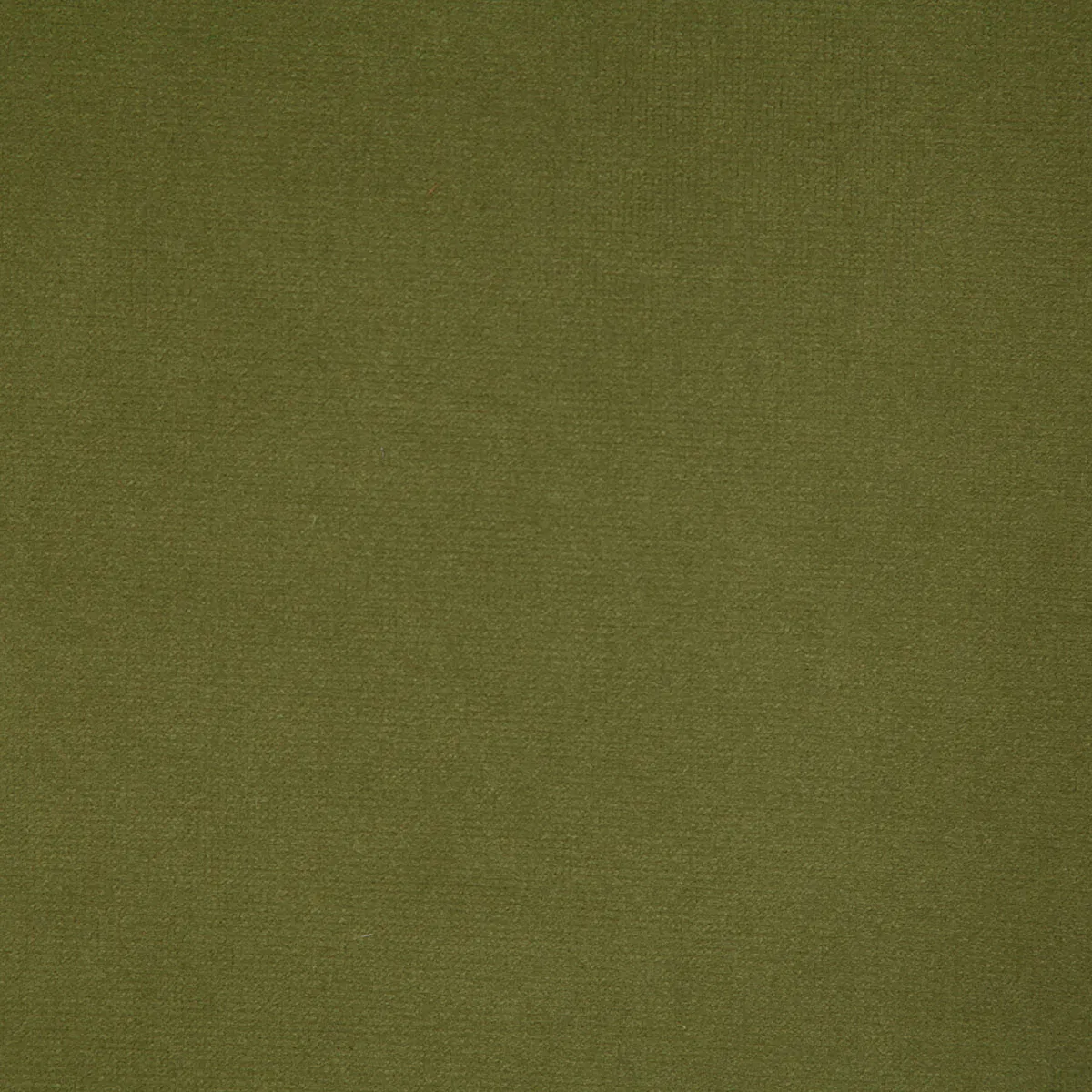Pindler & Pindler Florentina Olive Fabric 1 4596-pindler-pindler-florentina-olive-fabric-1.webp