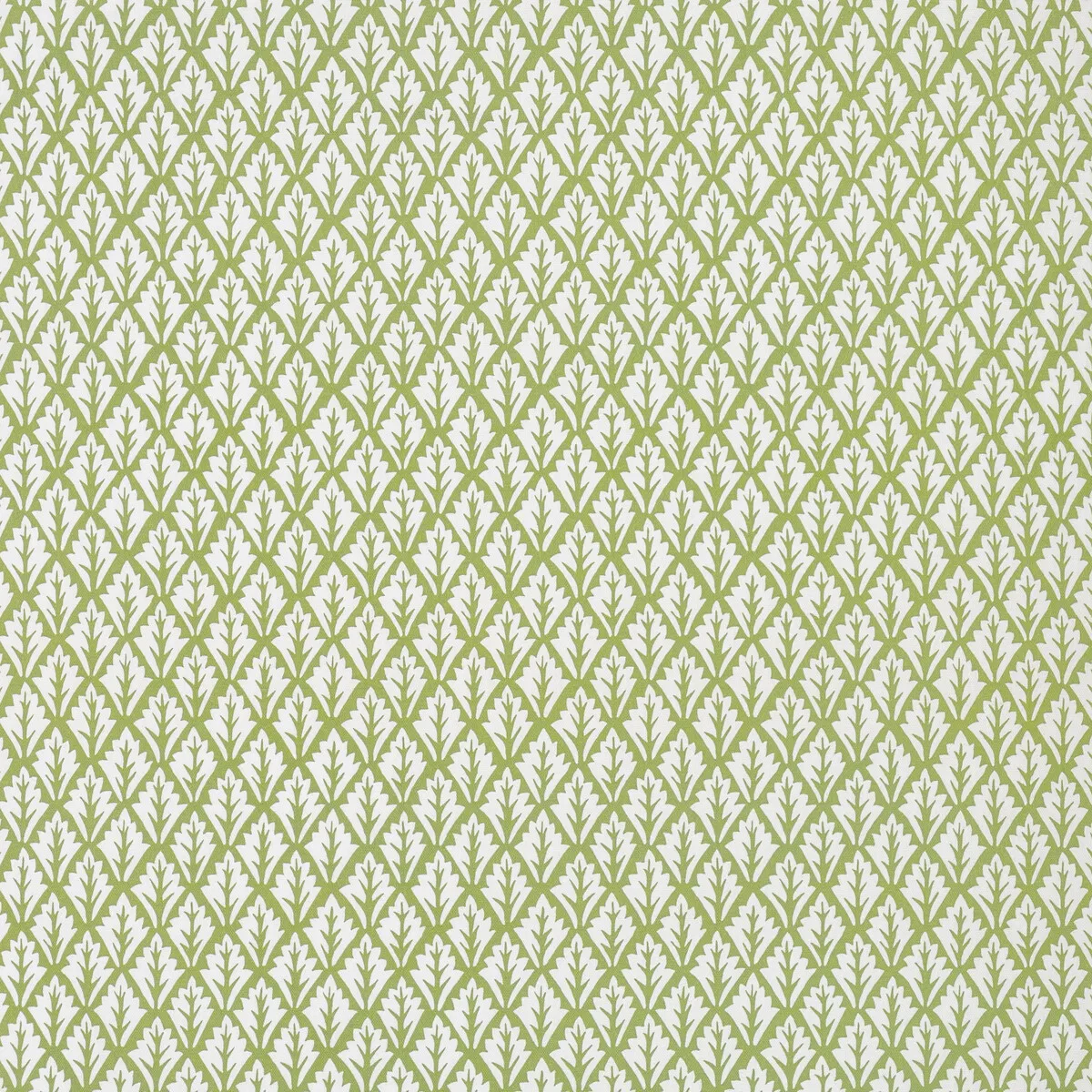 Kravet Dorso Olive Fabric