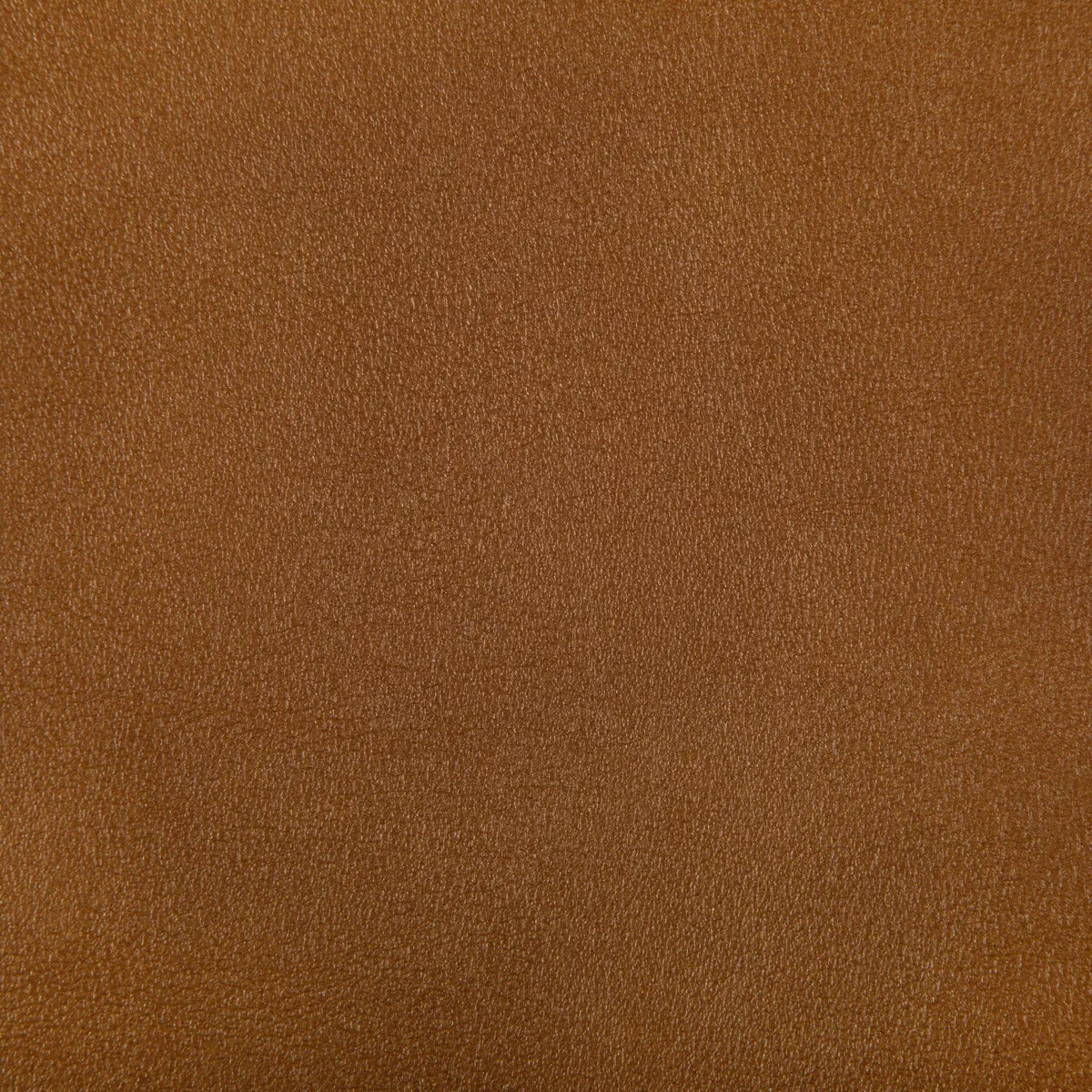 Kravet Agatha Squash Fabric
