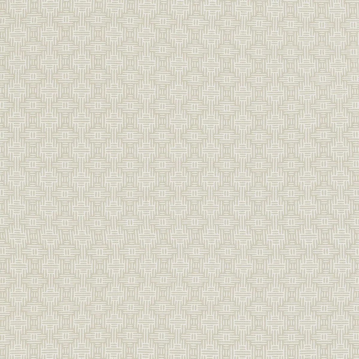 Clarke & Clarke Aztec Ivory Fabric