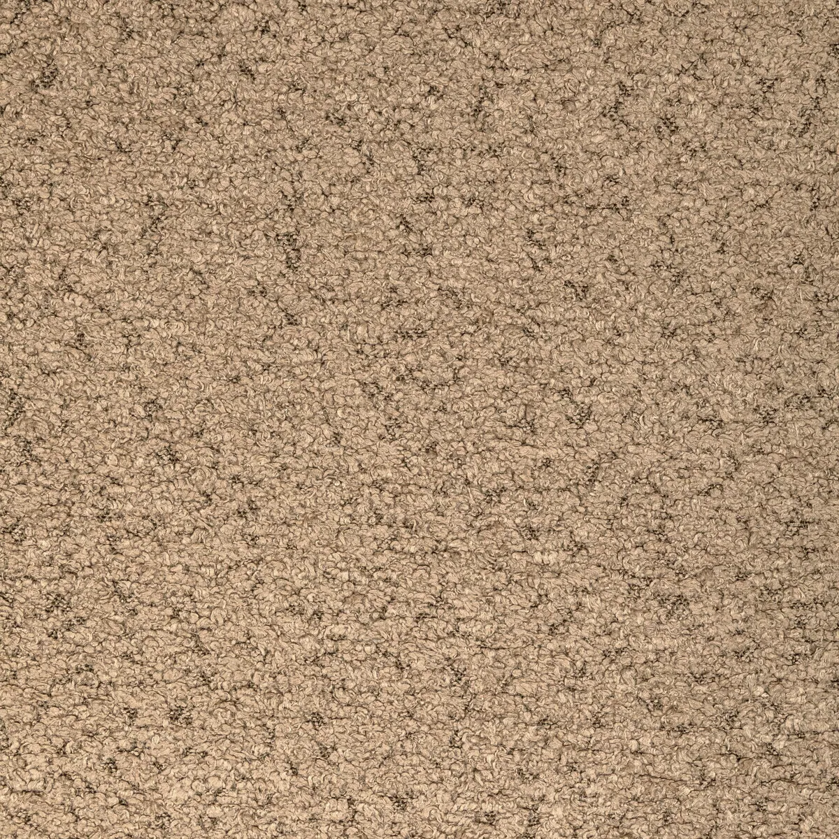 Kravet Marino Toast Fabric