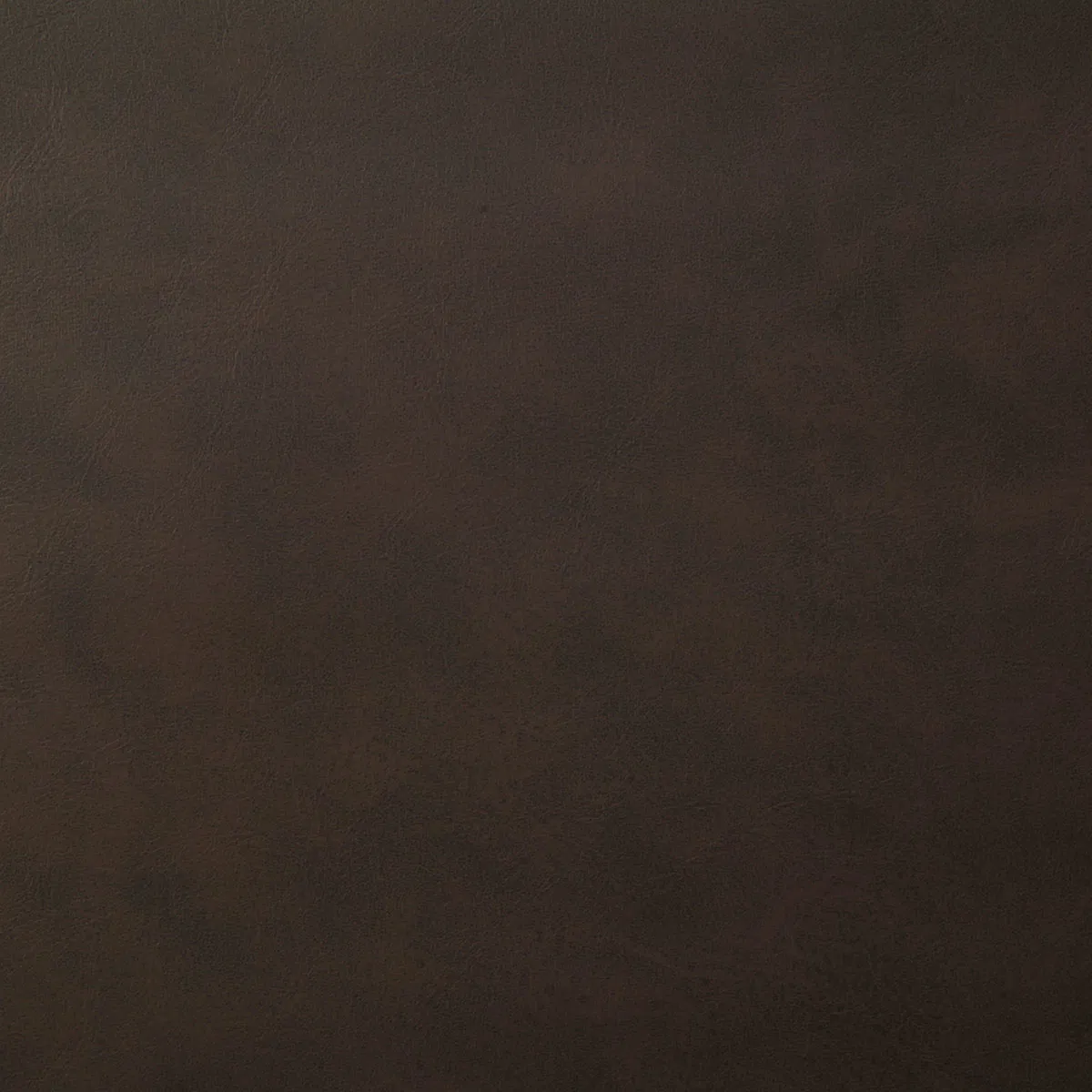 Pindler & Pindler Yeehaw Espresso Fabric