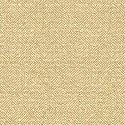 Kravet 33002.1116 Fabric