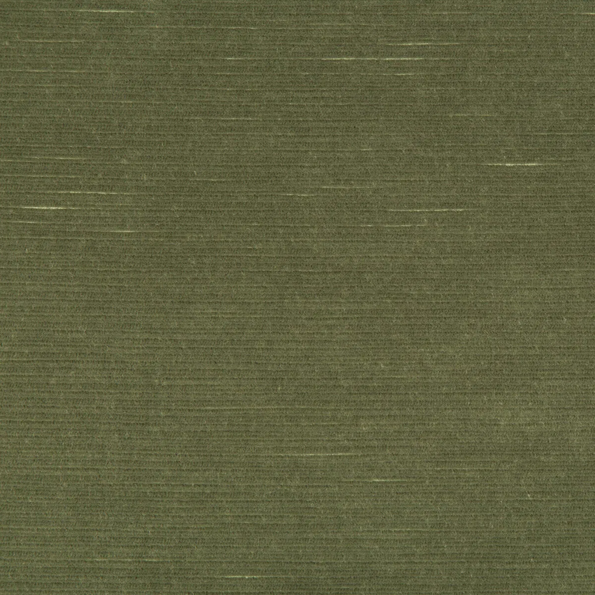 Lee Jofa Gemma Velvet Sage Fabric