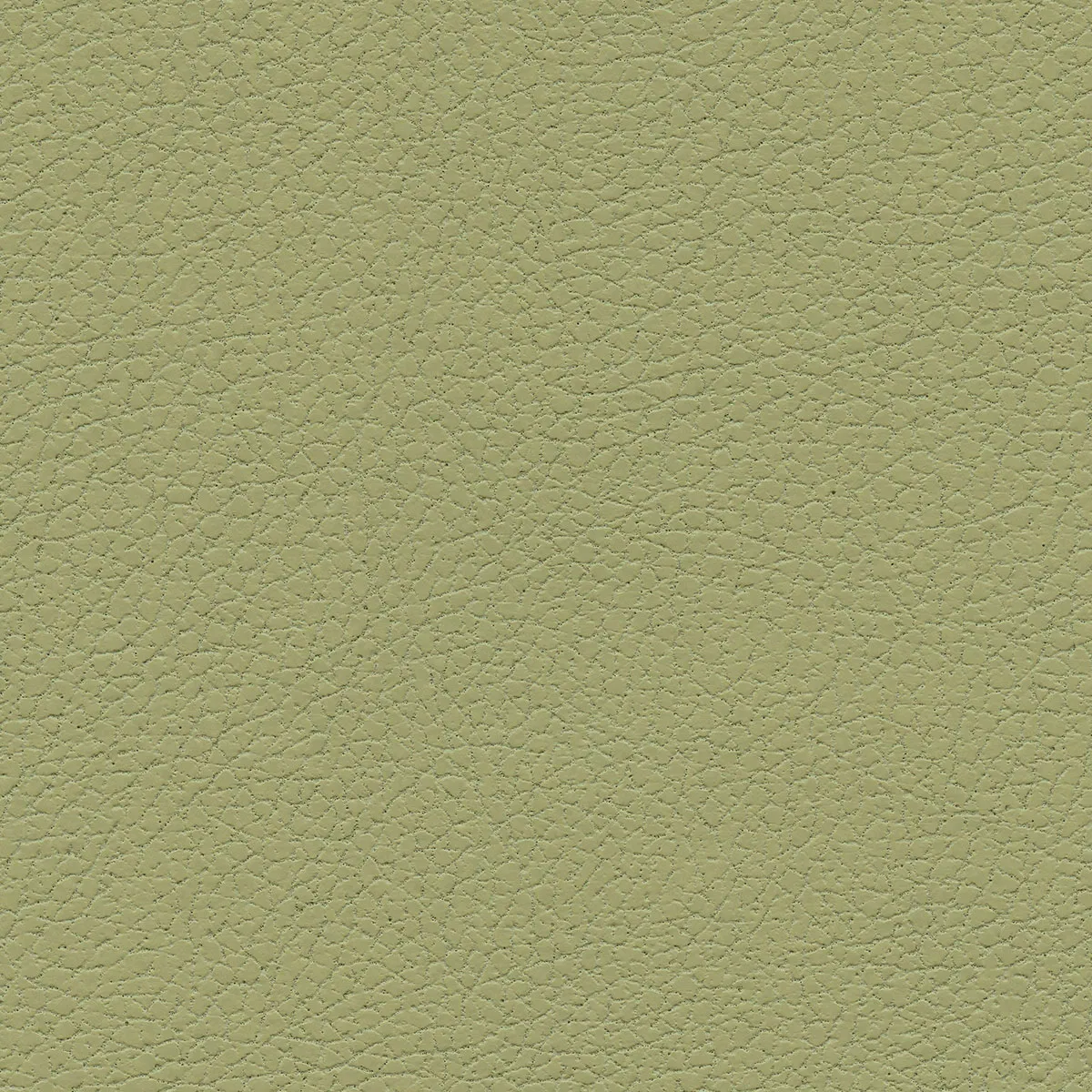 UltrafabricsÂ® BrisaÂ® Celery Fabric