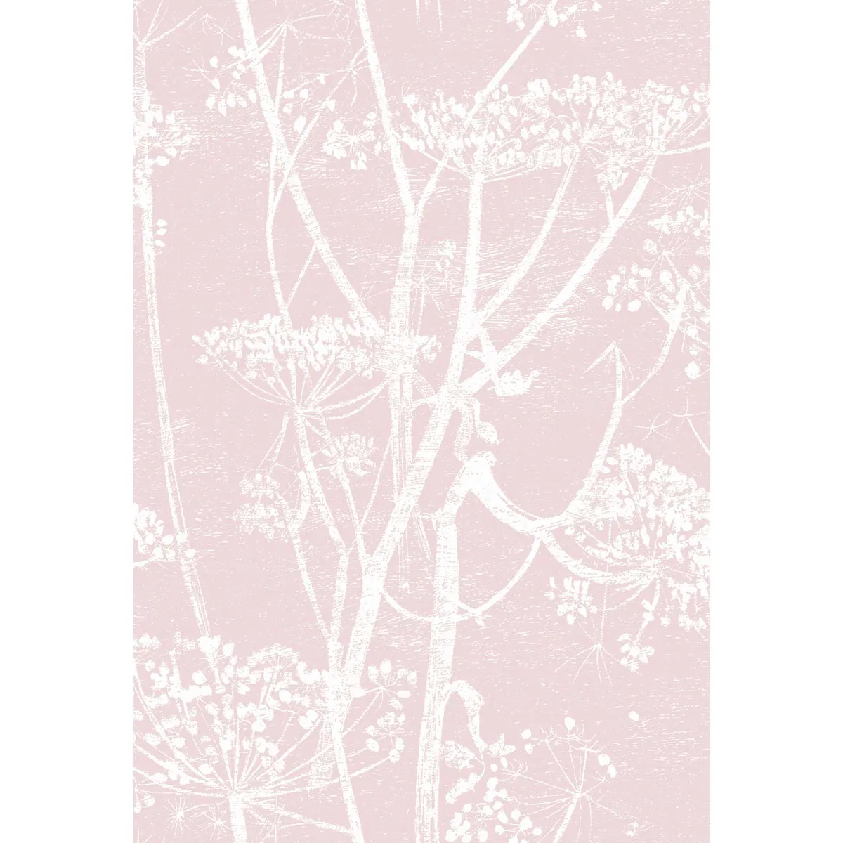 5836-cole-son-cow-parsley-white-ballet-slip-fabric-1.webp